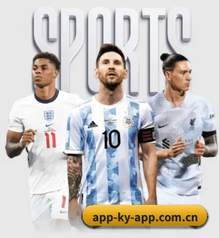 app开·云登录官方网站 APP