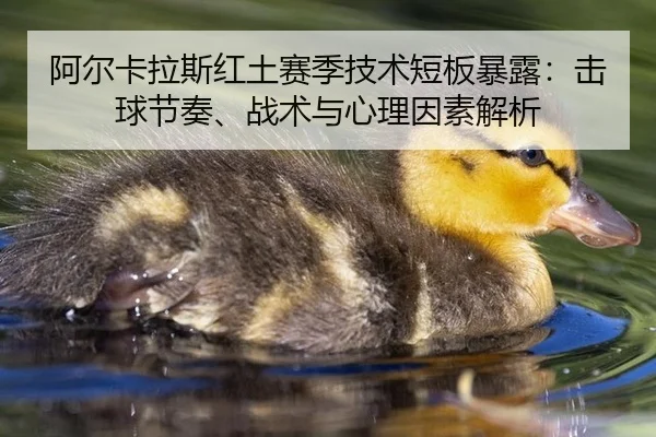 a-er-ka-la-si-hong-tu-sai-ji-ji-shu-duan-ban-bao-lu-ji-qiu-jie-zou-zhan-shu-yu-xin-li-yin-su-jie-xi-3-449.jpg