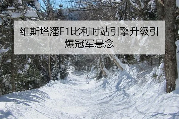 wei-si-ta-pan-bi-li-shi-zhan-yin-qing-sheng-ji-yin-bao-guan-jun-xuan-nian-2-823.jpg